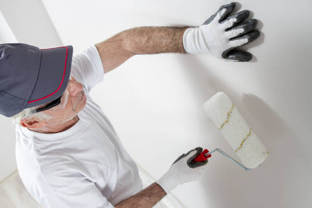 Best Wallpaper Removal and Painting  in Gerber, CA