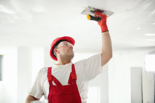 Wallpaper Removal and Painting in Gerber, CA